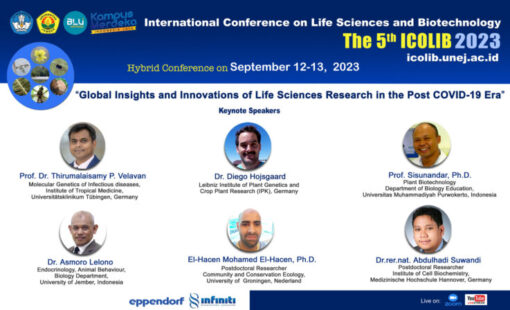 xbanner-zoom-scaled-1-768x448.jpg.pagespeed.ic.u47l0g55c9