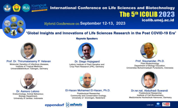 xbanner-zoom-scaled-1-768x448.jpg.pagespeed.ic.u47l0g55c9 xbanner-zoom-scaled-1-768x448.jpg.pagespeed.ic.u47l0g55c9