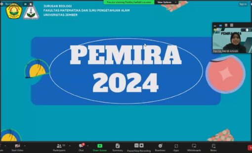 pemira1