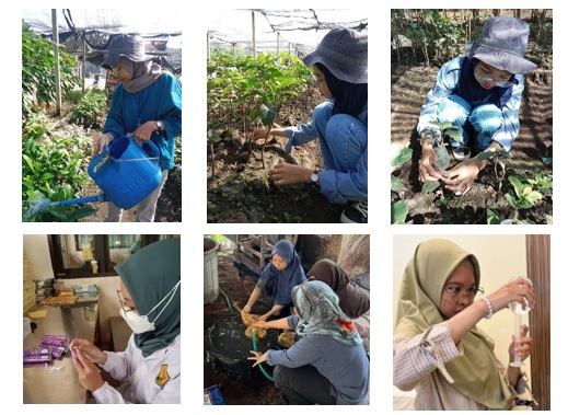 mbkm-kakao1 mbkm-kakao1